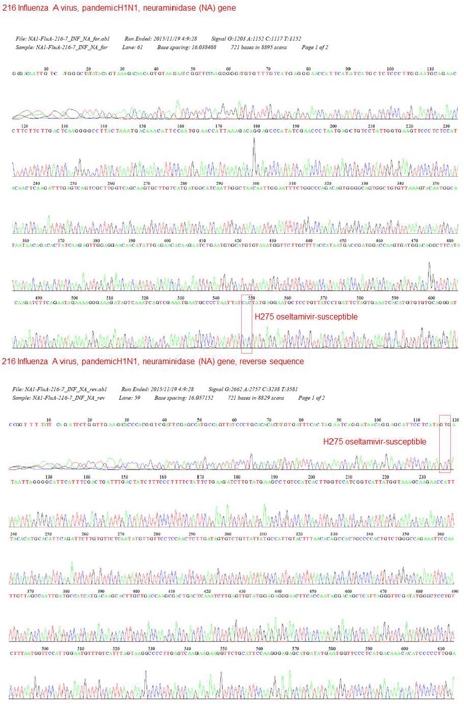 216 pandemic H1N1 2009 주의 oseltamivir 감수성 연관 유전자 (neuraminidase) 분석.
