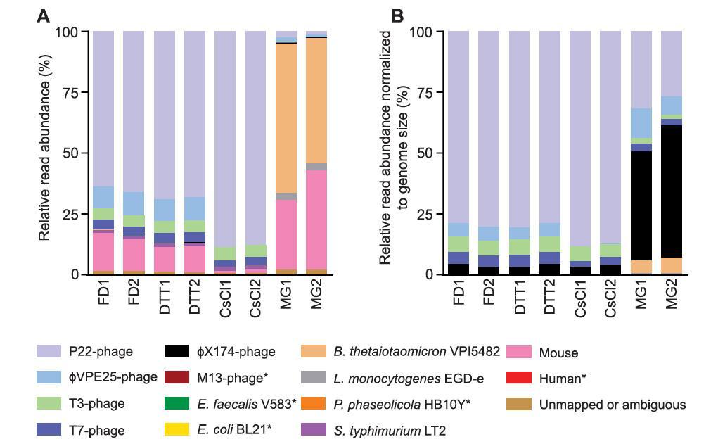 Virus Metagenome 결과 확보된 read의 종류.