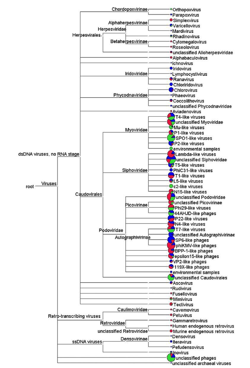 Virus Metagenome에 의해 확인된 세가지 발효 음식에 포함된 DNA virus의 분포.