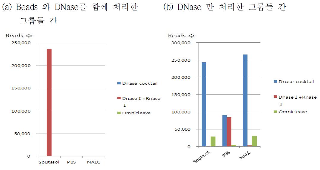 DNase와 beads를 함께 처리한 그룹과 DNase 만을 처리한 그룹간의 비교