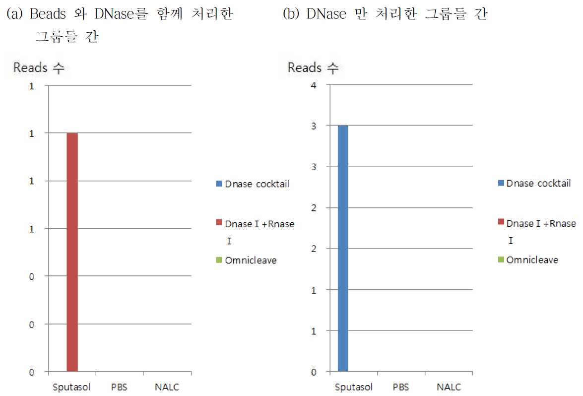 DNase와 beads를 함께 처리한 그룹과 DNase 만을 처리한 그룹간의 비교