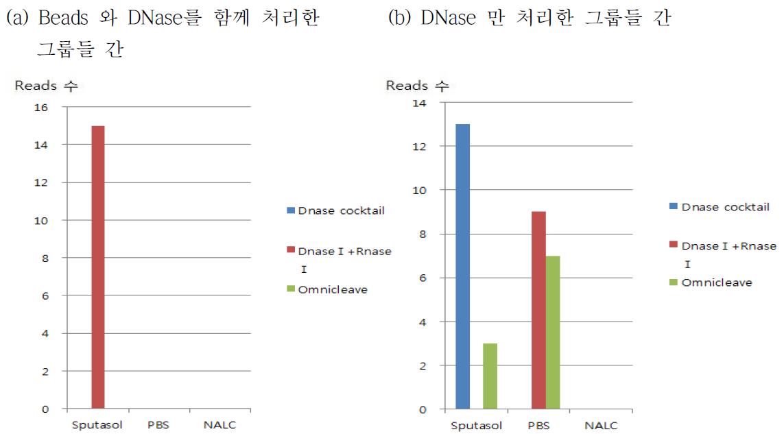 DNase와 beads를 함께 처리한 그룹과 DNase 만을 처리한 그룹간의 비교