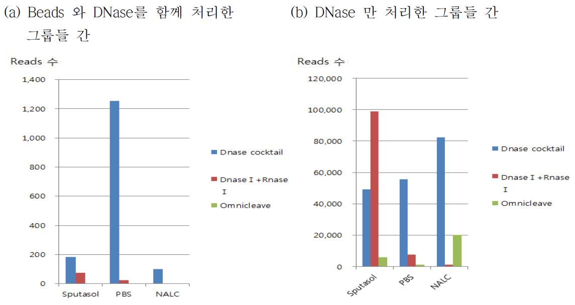 DNase와 beads를 함께 처리한 그룹과 DNase 만을 처리한 그룹간의 비교