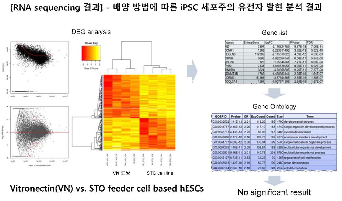 배양 조건에 따른 iPSC 세포주의 유전자 발현 변화 분석.