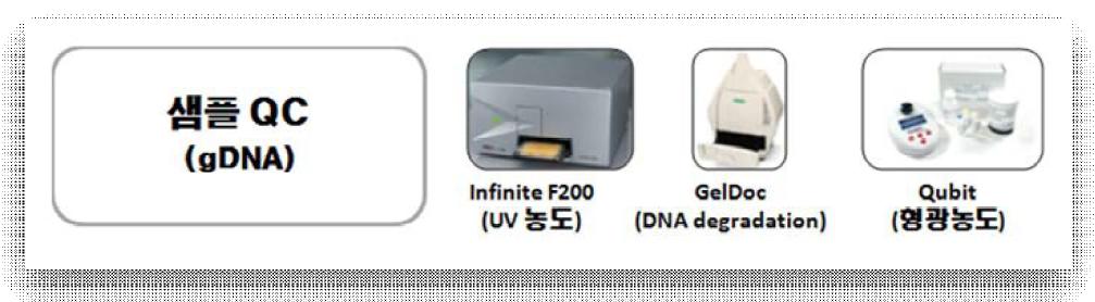 DNA 시료 QC를 위한 장비