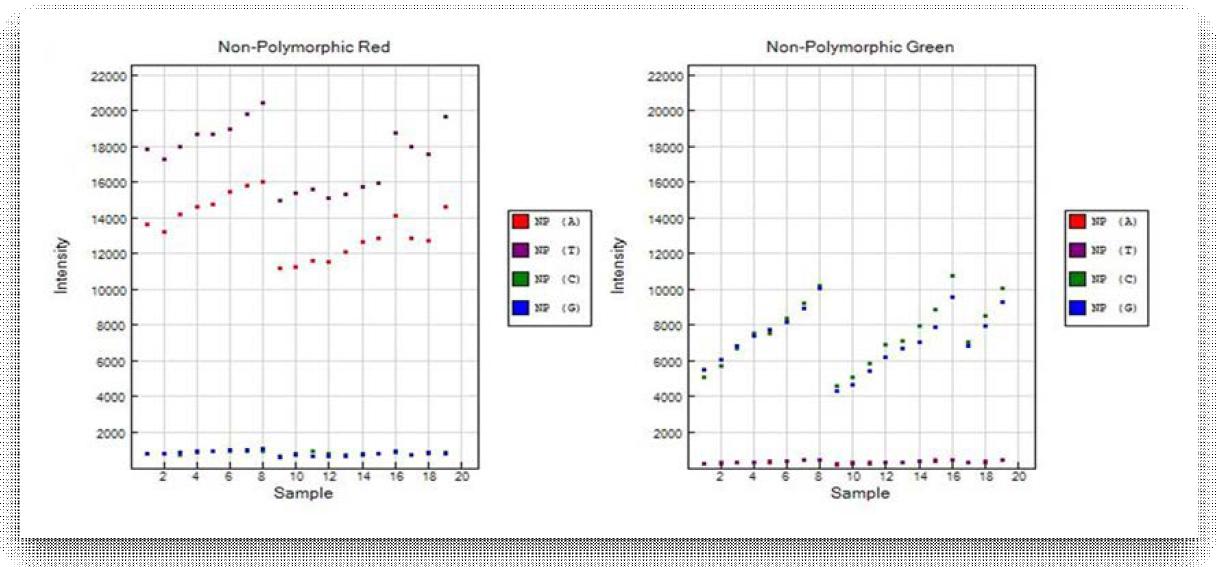 Non-polymorphic controls 결과