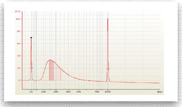 2100 Bioanalyzer을 이용한 shear된 DNA pattern 확인. 150-200 bp 범위 확인