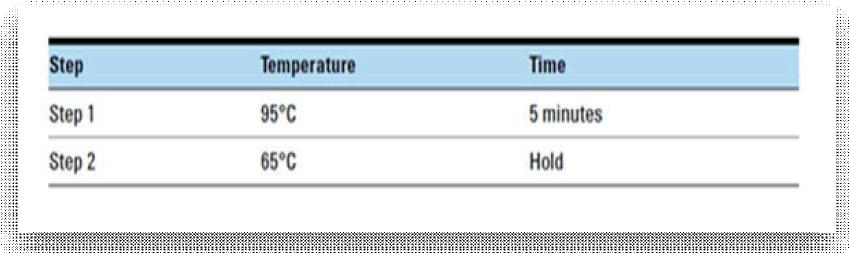 Library hybridization을 위한 PCR condition