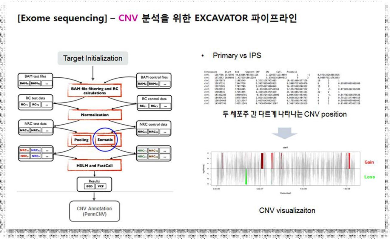 EXCAVATOR를 이용한 CNV 비교 분석 과정