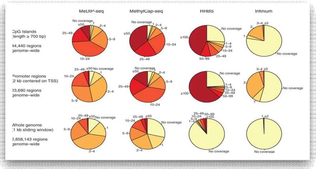 DNA library 제작 방법에 따른 메틸레이션-차세대염기서열법의 coverage 비교