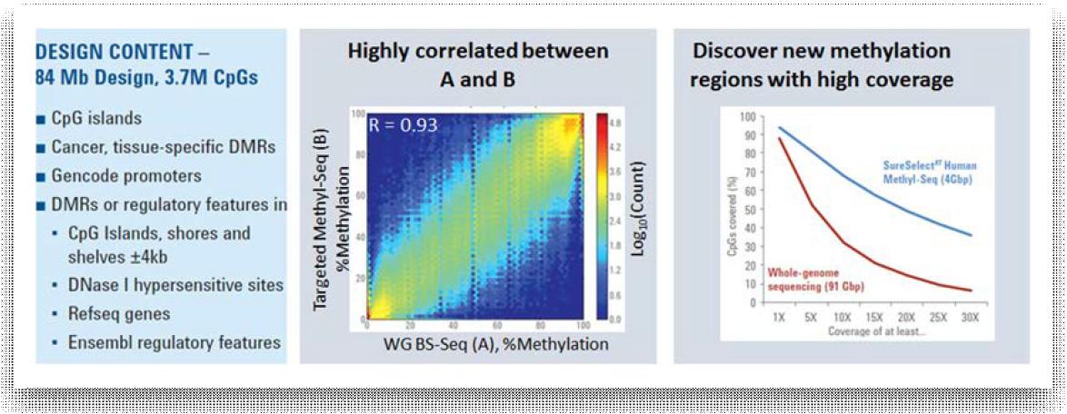 Agilent SureSelect Human Methyl-Seq kit의 캡쳐링 영역과 성능