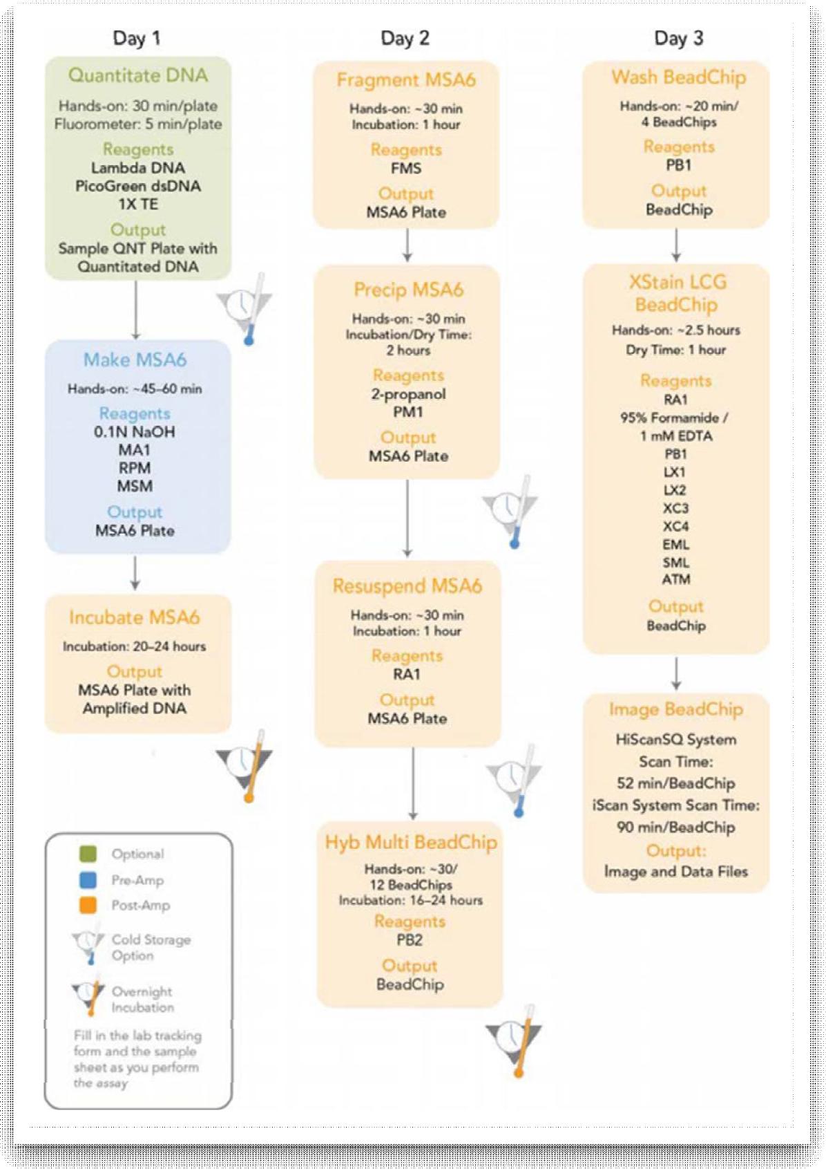 SNP Chip 실험 Workflow