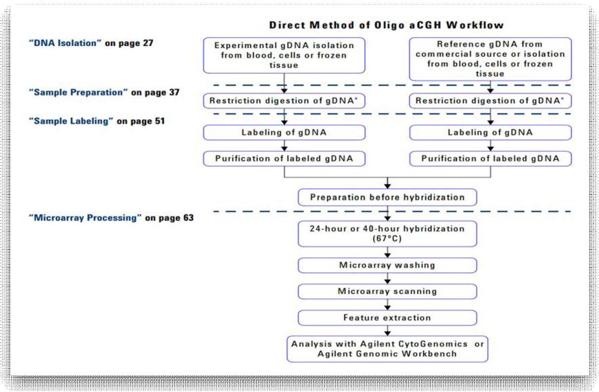 SurePrint G3 Human CGH Microarrays, 2X400K(Agilent) 실험 workflow