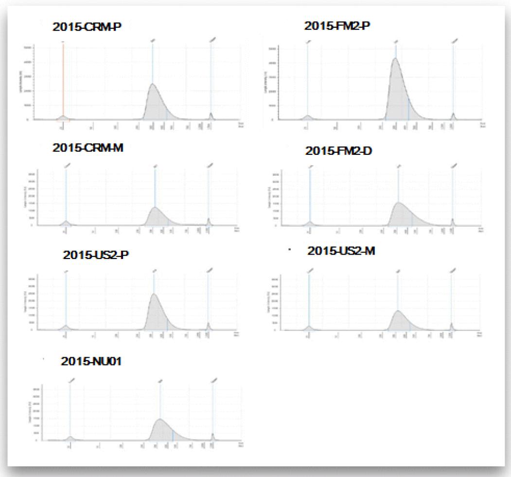 Exome sequencing Library QC 이미지 결과