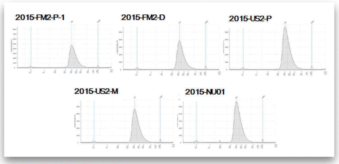 Methyl sequencing Library QC 이미지 결과