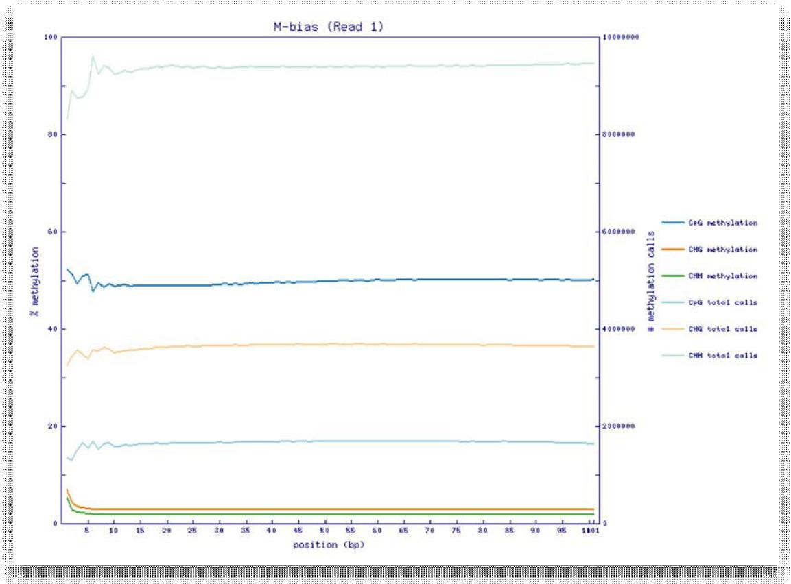 M-bias plot. Methylation 종류와 read base 위치 별 methylation bias 분석