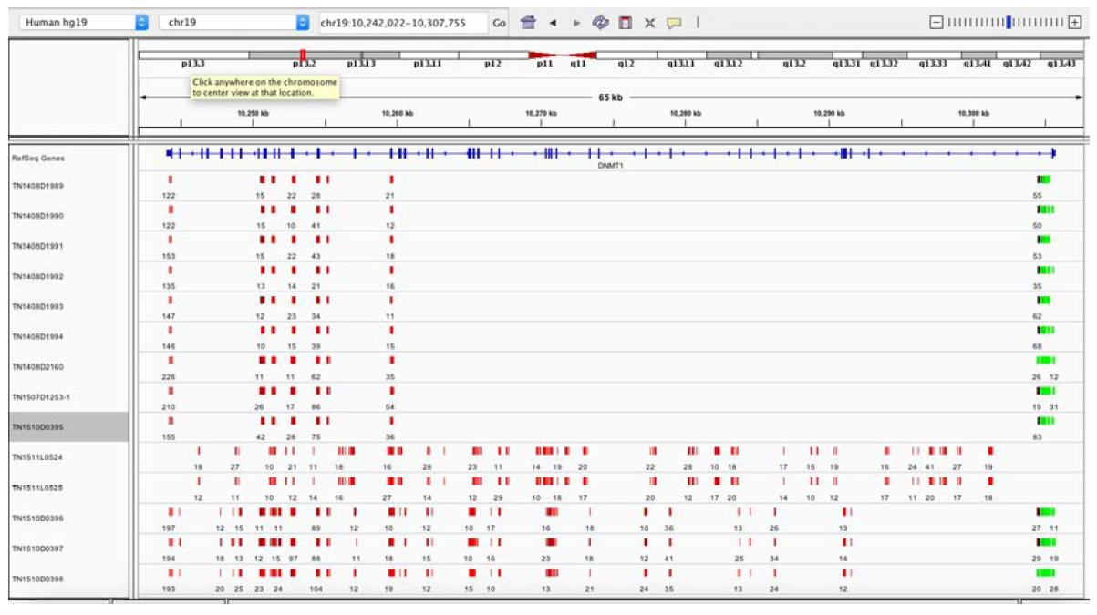 Genome browser(IGV)를 통한 메틸레이션 데이터의 시각화