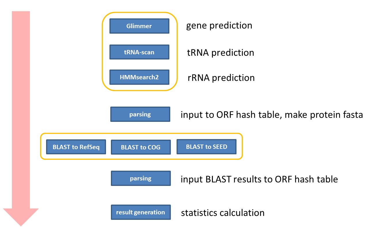 유전체 서열 분석 후 개별 유전체에 대한 annotation pipeline 모식도