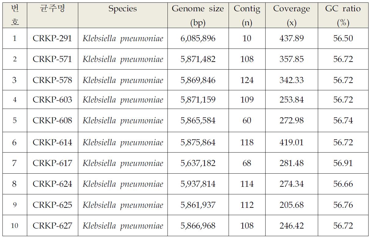 Klebsiella pneumoniae 균주의 유전체 분석 결과 요약 (1)