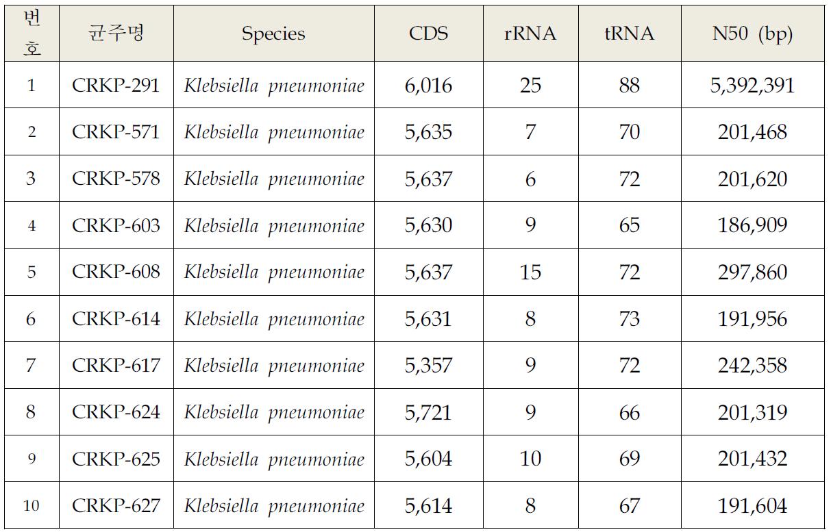 Klebsiella pneumoniae 균주의 유전체 분석 결과 요약 (2)