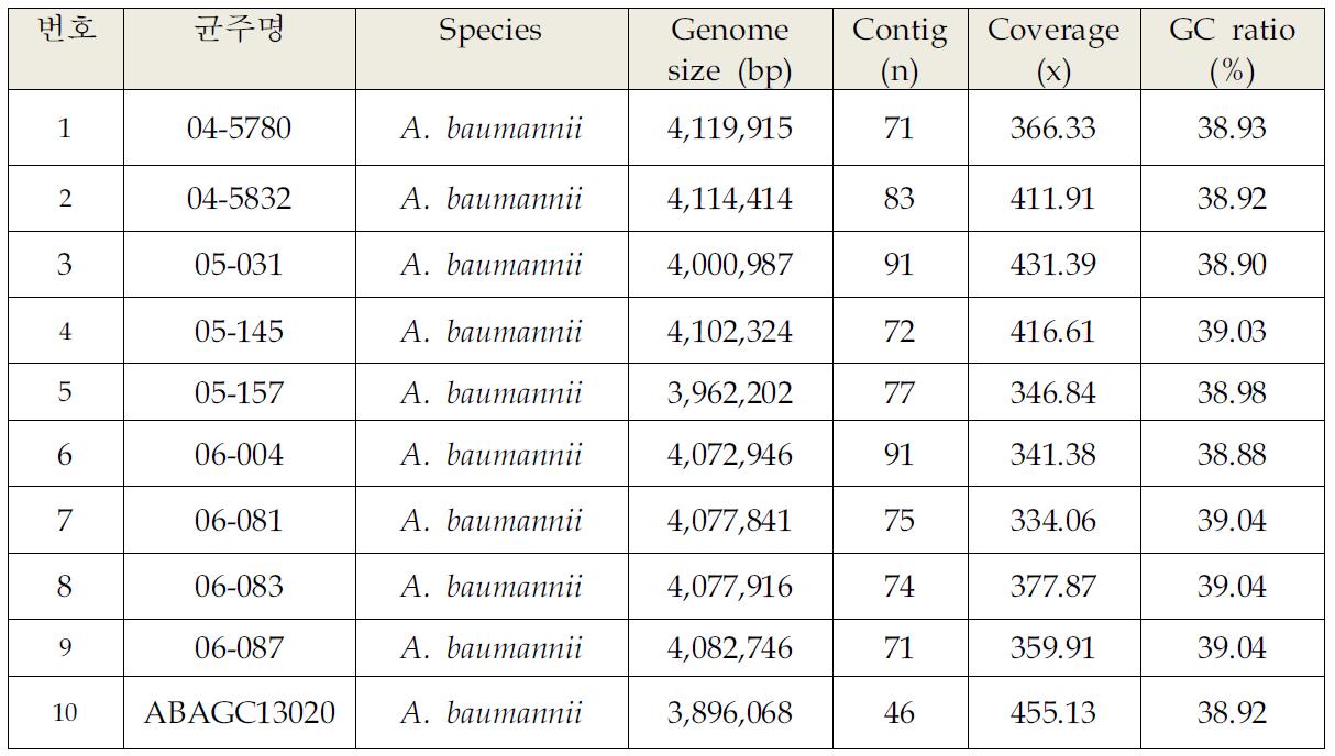 Acinetobacter baumannii 균주의 유전체 분석 결과 요약 (1)