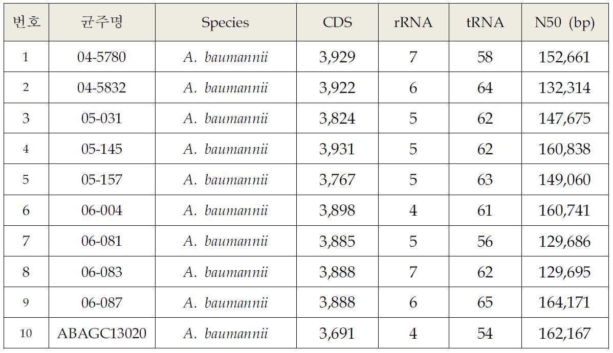 Acinetobacter baumannii 균주의 유전체 분석 결과 요약 (2)