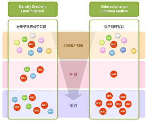 타기술 대비 층분리배양법의 우수성