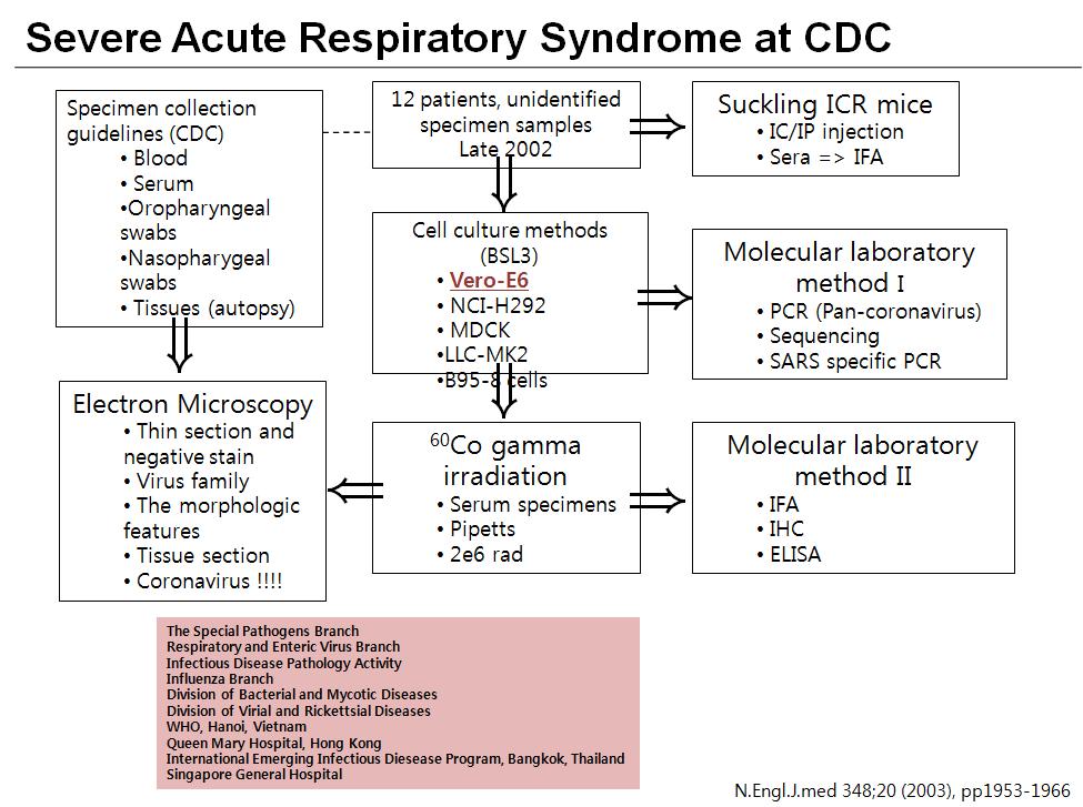 SARS 규명시 미국 CDC의 진단체계