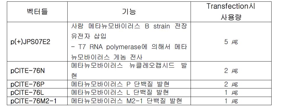 재조합 메타뉴모바이러스 생산을 위한 벡터들(일본, NIID 제공)