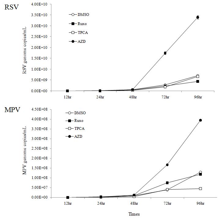 인터페론 저해제 각 2 uM 처리 후 시간대별 바이러스 증식 속도 비교. (○:DMSO, ●: AZD1480, ■: Ruxolitinib, □: TPCA-1)