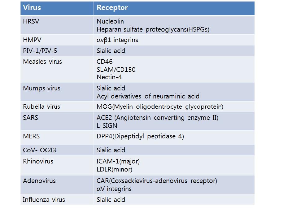 호흡기바이러스의 알려진 숙주 수용체