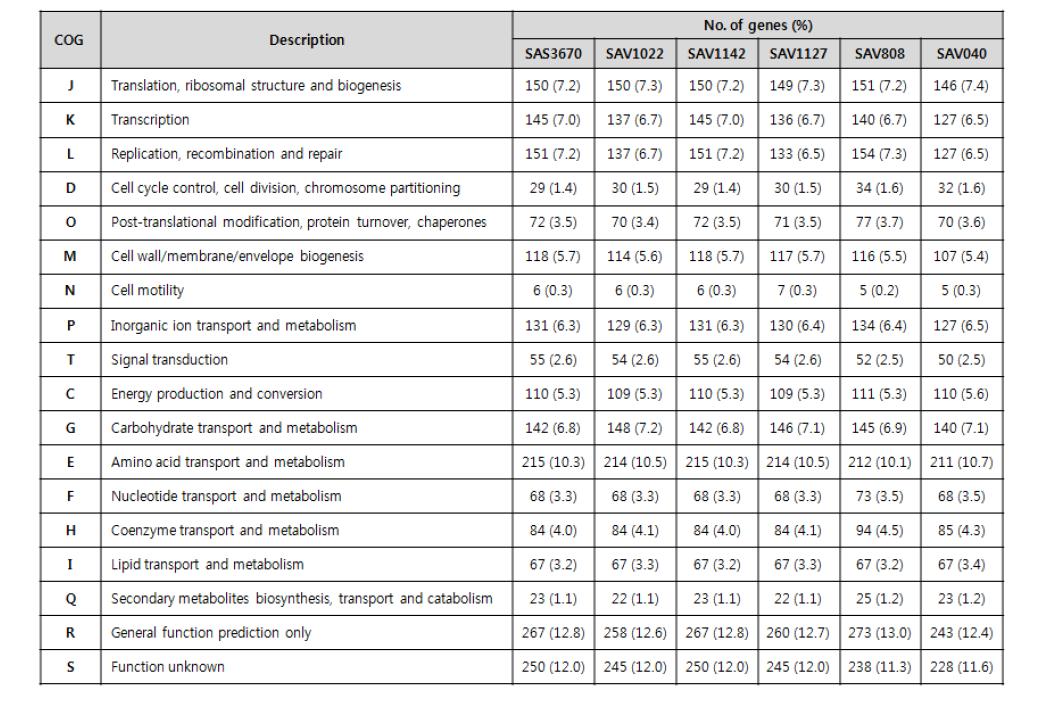 VSSA 및 VISA 균주의 COG 분포