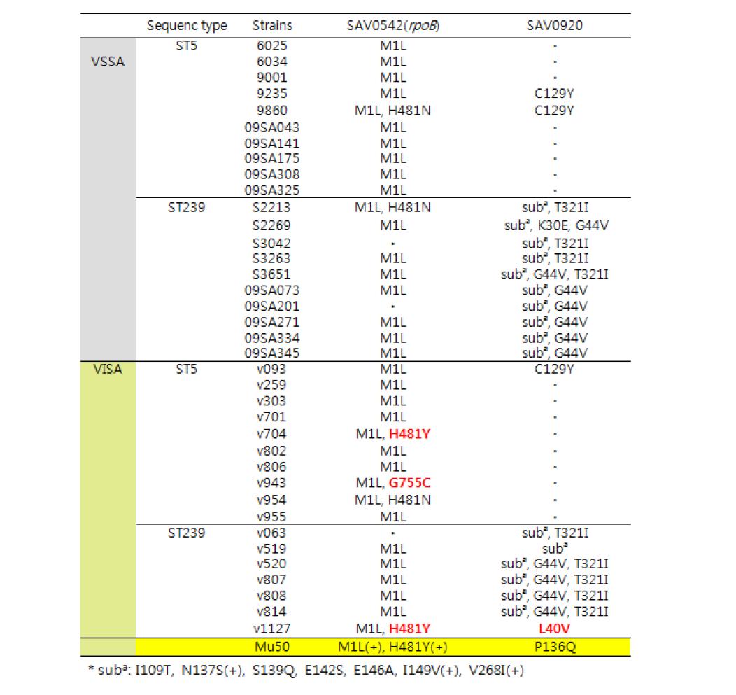 VSSA와 VISA균주에서 rpoB, SAV0920 유전자 비교