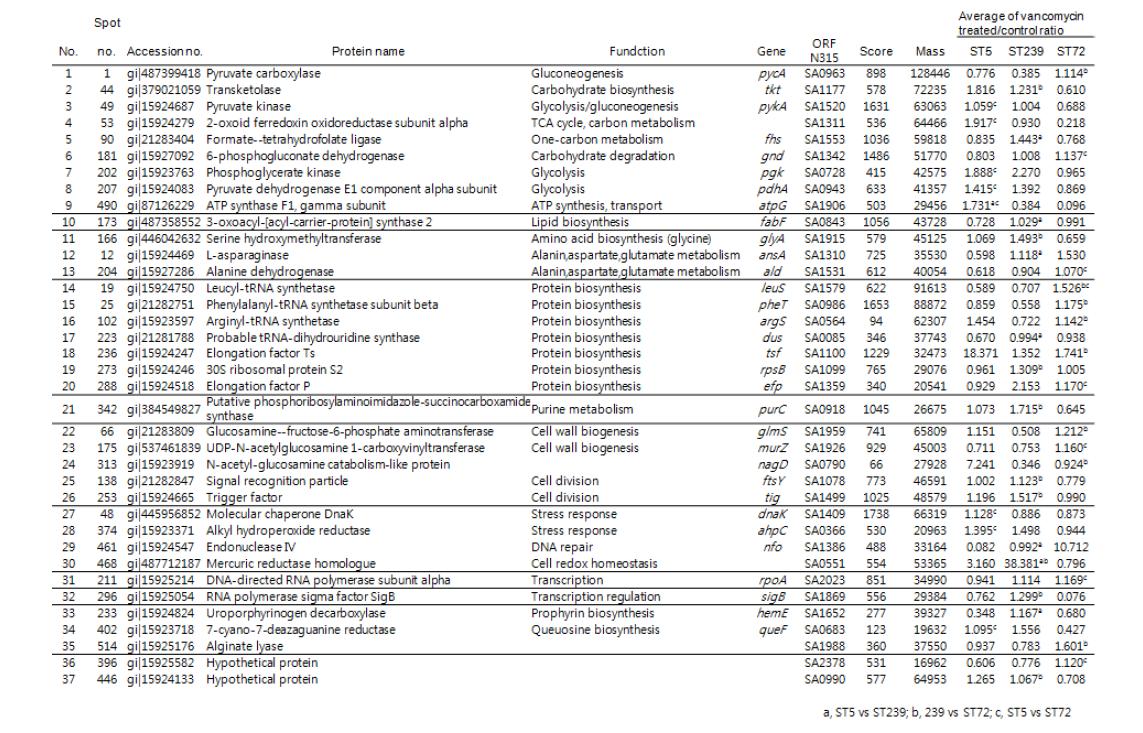 반코마이신 자극에 따른 VISA균주들의 ST type 간 단백질 발현 차이 분석