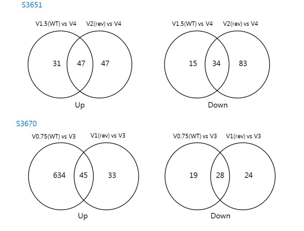 S3651, S3670 pair에서 증가 또는 감소되는 유전자 수