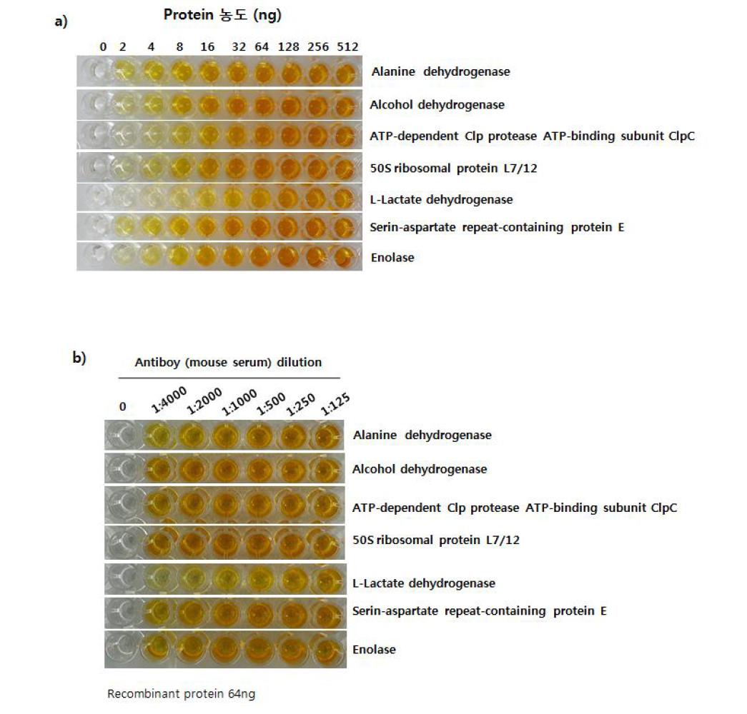 단백질 농도별 (a), 항체 농도별 (b) ELISA 결과