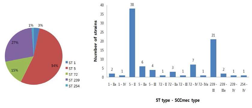 국내 분리 VISA균의 MLST와 SCCmec type에 따른 분포.