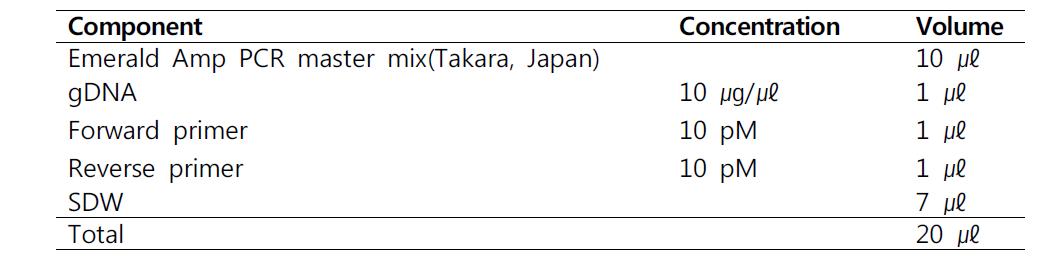 유전자 증폭을 위한 혼합물 조성