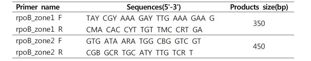Acinetobacter spp. rpoB 유전자의 zone 1, 2 증폭을 위한 primer 염기서열