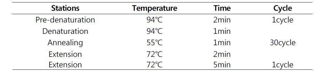 gltA/gyrB/gdhB/recA/cpn60/gpi/rpoD 유전자 증폭 조건