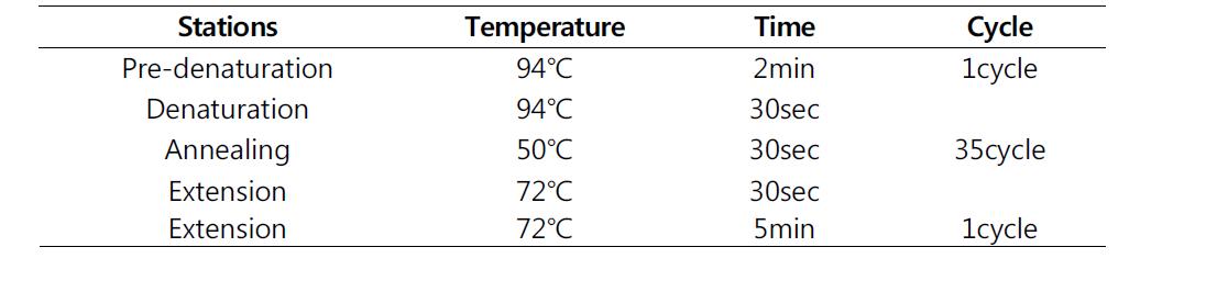 cpn60/fusA/gltA/pyrG/recA/rplB/rpoB 유전자 증폭 조건