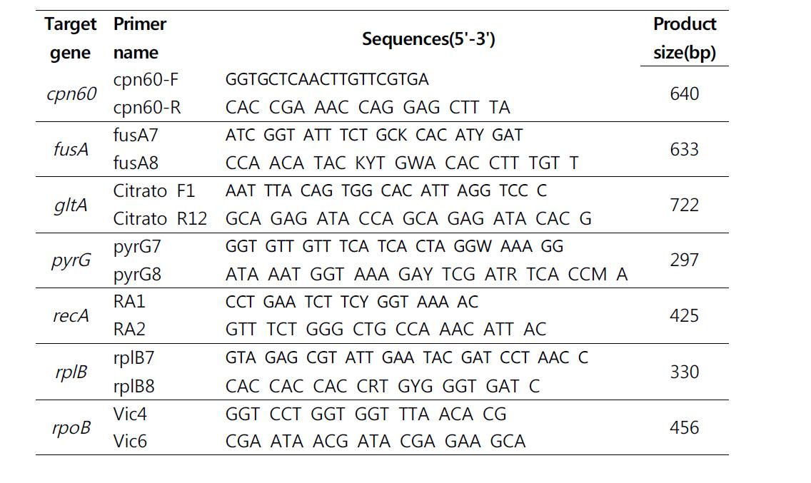 Pasteur MLST scheme에 사용된 primer