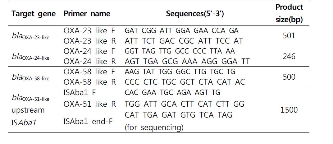 OXA type 카바페넴 분해효소 유전자 확인을 위한 primer