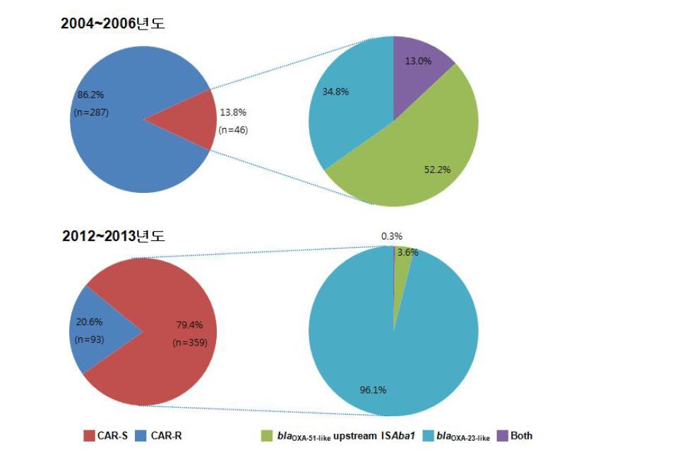 카바페넴 내성 유전자의 유행형 변화