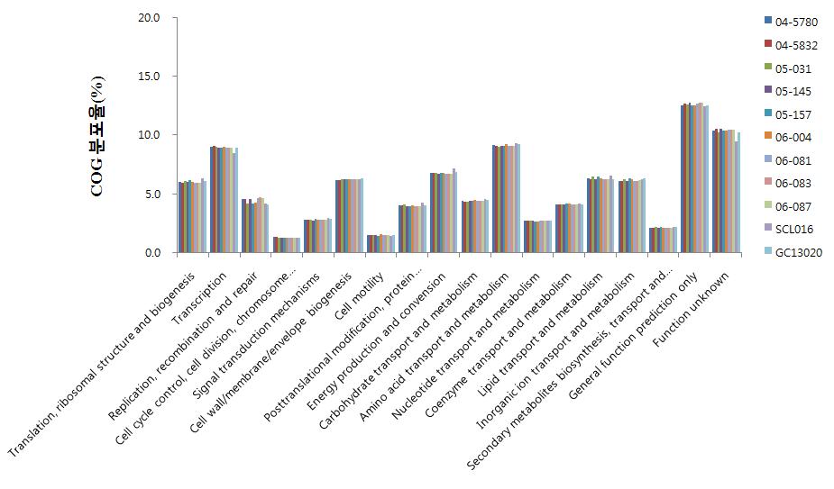 A. baumannii 11주에 대한 COG 기능분류에 따른 분포율