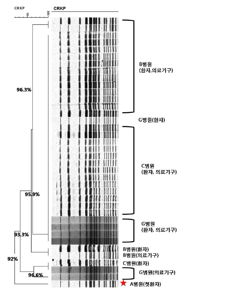 A, B, C, G병원에서 OXA-232생성 분리주의 PFGE 결과