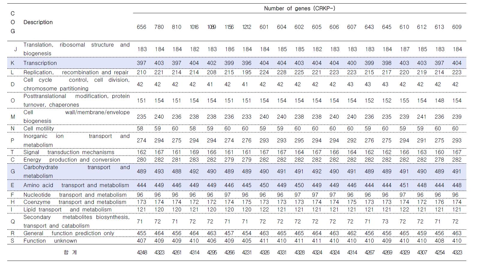 19주 K.pneumoniae 에 대한 COG 기능분류에 따른 분포수