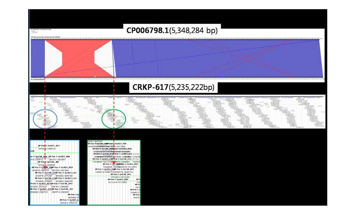 CP006798.1의 genome과의 구조비교(physical map)