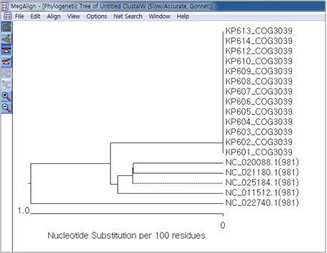 COG3039유전자의 계통수(phylogenetic tree)