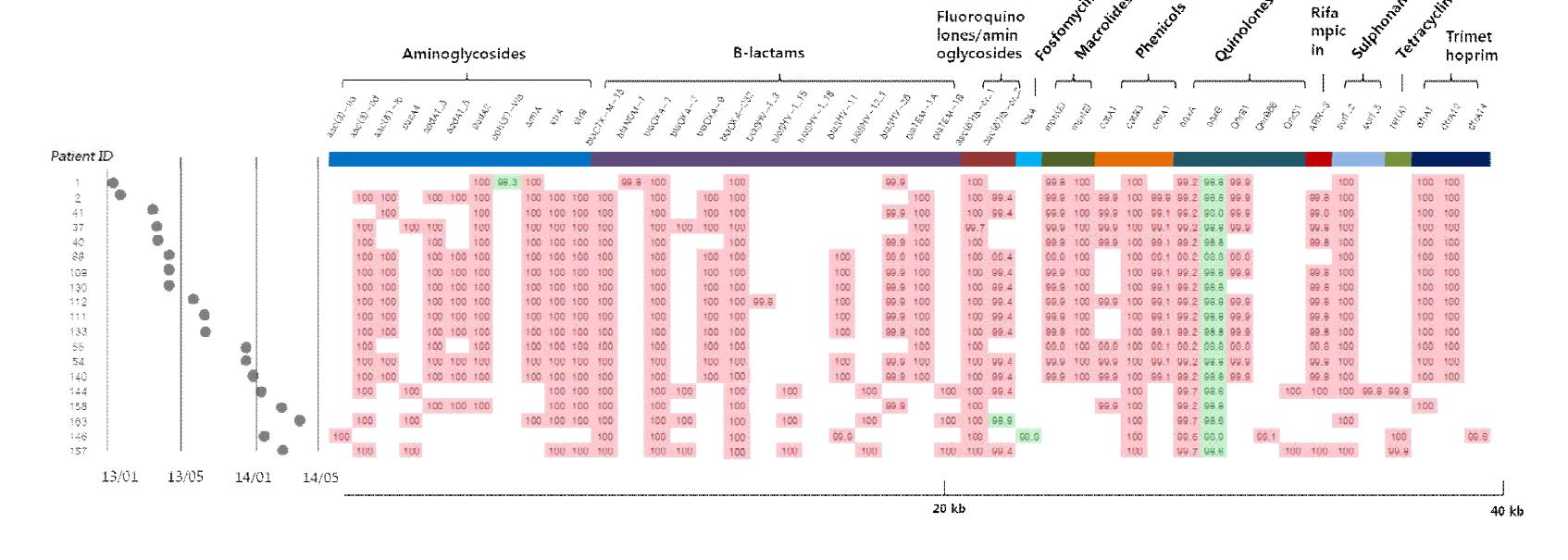 The presence and absence, by mapping, of resistance genomes of the selected patients